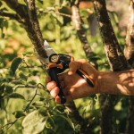 FISKARS PowerGear X P961 22.2cm Pruner - Bypass Garden Pruners