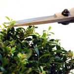 Bonsai Scissors 75mm OKATSUNE 200 Large Model Bonsai Scissors 75mm OKATSUNE 200 Large Model - Japanese Bonsai Scissors