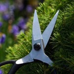 Ψαλίδι Μπονσάι 55mm OKATSUNE 203 Τύπος Medium Ψαλίδι Μπονσάι 55mm OKATSUNE 203 Τύπος Medium - Επαγγελματικά Ψαλίδια Bonsai