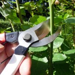 OKATSUNE 104 21cm Large Hands-Pruner-Bypass Pruners - Shears-Secateurs-Pruners