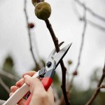 OKATSUNE 104 21cm Large Hands-Pruner-Bypass Pruners - Shears-Secateurs-Pruners