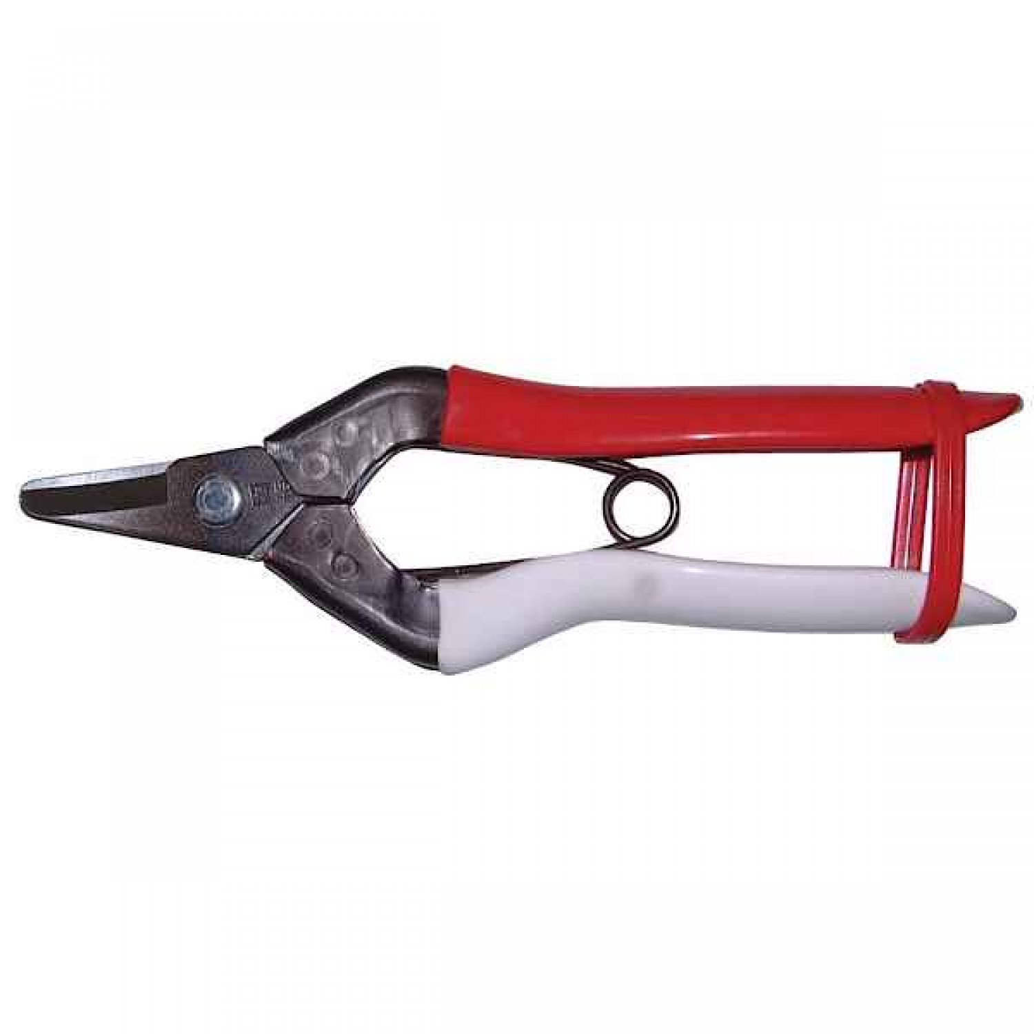 OKATSUNE 301 Harvest Shears With Curved Blade - Harvesting Vegetables and Fruits Shears