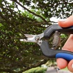 VESCO B1 16cm 80gr Vintage Shears Stainless Steel Blades - Picking and Trimming Scissors