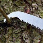 Felco 684 Extendable Pole Saw Genuine 2.3m-6.4m 39cm - Official Dealership Pole Pruners