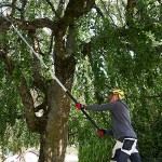 Felco 684 Extendable Pole Saw Genuine 2.3m-6.4m 39cm - Official Dealership Pole Pruners