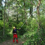 Silky HAYAUCHI 6300 Pole Saw 48cm Blade