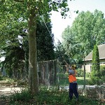 Silky HAYAUCHI 6300 Pole Saw 48cm Blade