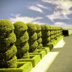 Επαγγελματικό Ψαλίδι Μπορντούρας S275 VESCO 75cm Δ17-20mm Κυματιστής Λάμας - Μπορντουροψάλιδα