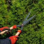 Ψαλίδι Μπορντούρας Μεγάλο HS-WW Ξύλινες Λαβές-Κυμματοειδείς Λάμες WOLF-Garten - Μπορντουροψάλιδα