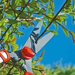 Τηλεσκοπικό Ψαλίδι Μπορντούρας HS 1000 T WOLF-Garten - Τηλεσκοπικά Μπορντουροψάλιδα για Κήπους