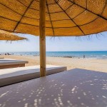 Seagrass-Sol Umbrella Replacement Canopy D220cm Natural Plant Fabric - Eco-Friendly Umbrellas