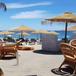 Seagrass-Sol Umbrella Replacement Canopy D220cm Natural Plant Fabric - Eco-Friendly Umbrellas