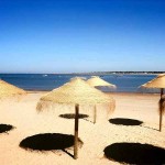 Seagrass-Sol Umbrella Replacement Canopy D220cm Natural Plant Fabric - Eco-Friendly Umbrellas