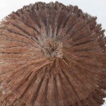 Beach Umbrella Natural Reiki Bush D200cm with Pole Ø8x300cm - Beach & Garden Umbrellas