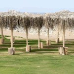 Beach Umbrella MAJORCA with Sewn Palm Leaf Cover D250cm-Ø8x300cm Pole - Beach & Garden Umbrellas
