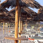 Beach Umbrella MEXICO with Makuti Roller D200cm-Ø8x300cm Pole - Beach & Garden Umbrellas