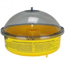 Fruit Fly Trap - Wasp Trap - Insect Trap ANEL 1pc Gemma