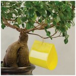 Dual-Sided Yellow Sticky Traps 10x23cm (10pcs)