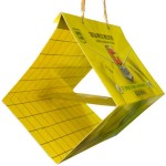 Mediterranean Fly Trap Diamond Shape Sticky Surface GEMMA