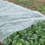 BRADAS Roll 1.6x100m 17gr/m² Plant Frost Protection Cover - Non Woven Fabric-Cold & Freeze Protection