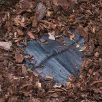 BRADAS Woven Anti-Weed PP Black UV 70gr/m² 1.6x5m - Ground Cover Textile