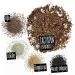 LECHUZA Cactuspon Substrate For Cacti-Succulent Plants