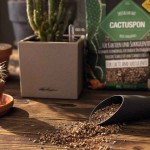 LECHUZA Cactuspon Substrate For Cacti-Succulent Plants