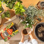 LECHUZA Μοnοpon Washed Pumice Substrate For All Plants - Indoor & Outdoor Plants Substrates LECHUZA  Μοnοpon Washed Pumice Substrate For All Plants