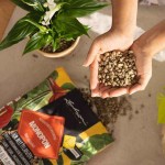 LECHUZA Μοnοpon Washed Pumice Substrate For All Plants - Indoor & Outdoor Plants Substrates LECHUZA  Μοnοpon Washed Pumice Substrate For All Plants