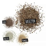 LECHUZA Basicpon Substrate for Sensitive Plants & Cuttings - Mineral Plant Substrates LECHUZA Basicpon Substrate-Sensitive Plants & Cuttings