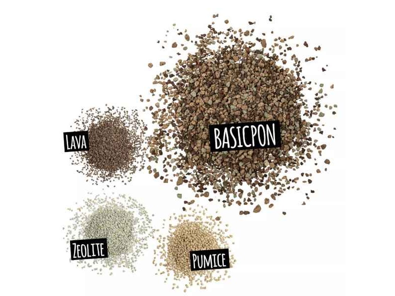 Image showcasing LECHUZA Basicpon Substrate-Sensitive Plants & Cuttings