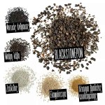 LECHUZA Blackstonepon Substrate For All Houseplants