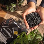 LECHUZA Blackstonepon Substrate For All Houseplants