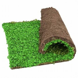 DICHONDRA Ready Lawn DICHONDRA Ready Lawn | kipogeorgiki.gr