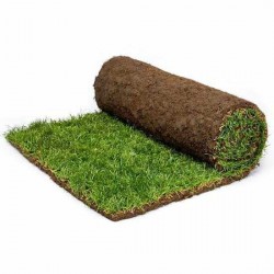 Έτοιμος Φυσικός Χλοοτάπητας ΠΡΟΜΗΘΕΑΣ | Έτοιμο Φυσικό Γκαζόν