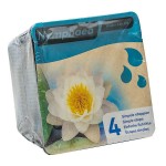 White Water Lily (Nymphaea 'Marliacea Albida') Plant