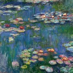 White Water Lily (Nymphaea 'Marliacea Albida') Plant