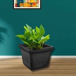 Γλάστρα Μαύρη 45x45x39cm Πλαστική ROMAN CLASSIC Kenzi - Τετράγωνες Πλαστικές Γλάστρες