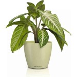 LECHUZA Cachepot DECO 12 Linden Ø13x12cm Plastic Planter - Round Planters-Cachepots