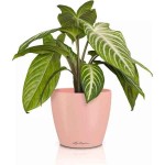 LECHUZA Cachepot DECO 12 Magnolia Ø13x12cm Plastic Planter - Round Planters-Cachepots