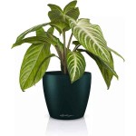 LECHUZA Cachepot DECO 12 Pine Ø13x12cm Plastic Planter - Round Planters-Cachepots