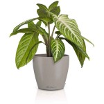 LECHUZA Cachepot DECO 12 Sand Brown Ø13x12cm Plastic Planter - Round Planters-Cachepots