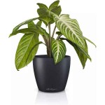 LECHUZA Cachepot DECO 12 Slate Ø13x12cm Plastic Planter - Round Planters-Cachepots