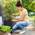 LECHUZA PON Scoop Large 1lt 23cm Pistachio Colour - Potting Soil & Substrate Scoops