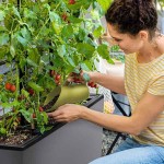 LECHUZA PON Scoop Large 1lt 23cm Pistachio Colour - Potting Soil & Substrate Scoops