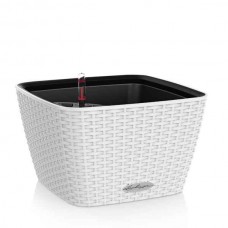 BACINO Cottage 30 White 30x30x(H)18cm Self-Watering Planter-Cachepot LECHUZA Complete - Automatic Watering Square Planters
