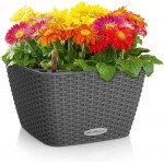 BACINO Cottage 30 Granite 30x30x(H)18cm Self-Watering Planter-Cachepot LECHUZA Complete - Automatic Watering Square Planters