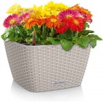 BACINO Cottage 30 Sand Brown 30x30x(H)18cm Self-Watering Planter-Cachepot LECHUZA Complete - Automatic Watering Square Planters