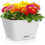 BACINO Cottage 30 White 30x30x(H)18cm Self-Watering Planter-Cachepot LECHUZA Complete - Automatic Watering Square Planters