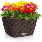 BACINO Cottage 30 Mocha 30x30x(H)18cm Self-Watering Planter-Cachepot LECHUZA Complete - Automatic Watering Square Planters